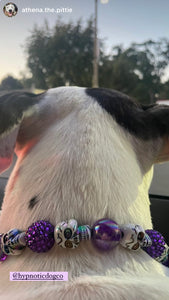 Purple Skull Candy Bead Collar