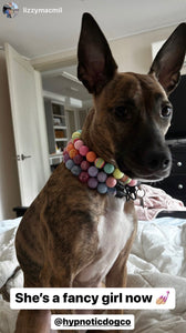 Rainbow Sherbet Bead Collar
