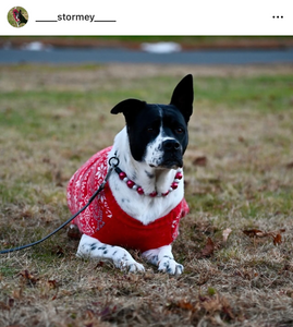 Santa Baby Bead Collar