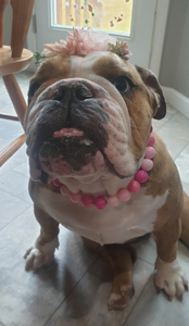 Pink Ombre Acrylic Bead Collar