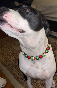 🟧 19" Slip On (Black O-Ring) Grinchmas 🎄 Bead Collar - PRE-MADE/FINAL SALE