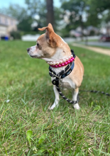 Load image into Gallery viewer, Mini Magenta Pearl [Small Dog/Cat Bead Collar]