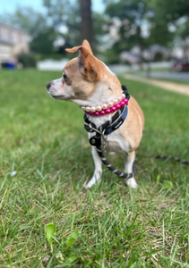 Mini Magenta Pearl [Small Dog/Cat Bead Collar]