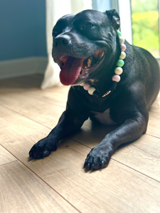 Minty Sweet Acrylic Bead Collar