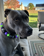 Load image into Gallery viewer, Midnight Cauldron Halloween Glow Bead Collar