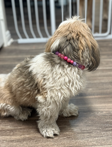 Raspberry Sugar MINI [Small Dog/Cat Bead Collar]