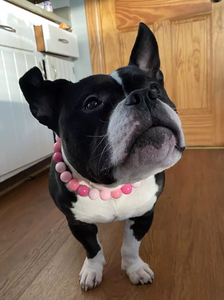 Pink Ombre Acrylic Bead Collar