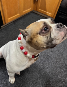 Candy Cane Bead Collar