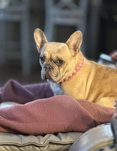 Load image into Gallery viewer, Bubblegum Pink Pearl Acrylic Bead Collar