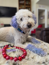 Load image into Gallery viewer, Blue Lagoon Acrylic Bead Collar