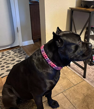 Load image into Gallery viewer, Mini Raspberry Sugar Duplo Acrylic Bead Collar