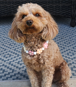 🌼 Vintage Daisies 🌼 Silicone Bead Collar