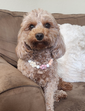 Load image into Gallery viewer, 🌼 Vintage Daisies 🌼 Silicone Bead Collar