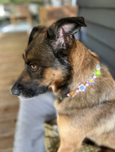 Load image into Gallery viewer, 🌼 Flower Power 🌼 Bead Collar