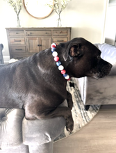 Load image into Gallery viewer, Red, White, &amp; Blue Resin Bead Collar