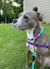 Load image into Gallery viewer, Unicorn Glam 🦄 Bead Collar