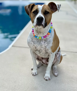 Groovy Bead Collar
