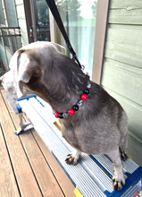 Load image into Gallery viewer, Red &amp; Black Skull Bead Collar