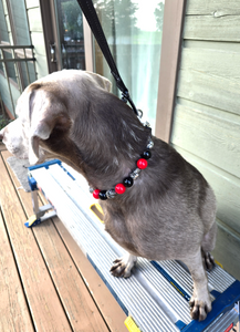 Red & Black Skull Bead Collar