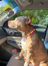Load image into Gallery viewer, Sunset Tie Dye Glow Bead Collar