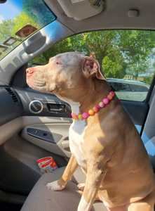 Sunset Tie Dye Glow Bead Collar
