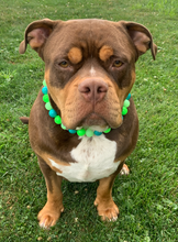 Load image into Gallery viewer, Neon Tropic Glow Acrylic Bead Collar