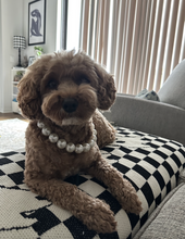 Load image into Gallery viewer, Classic White Pearls Acrylic Bead Collar [SALE]