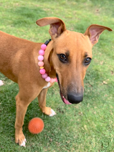 Load image into Gallery viewer, Pink Sorbet Bead Collar
