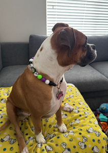 Beetlejuice Bead Collar