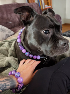 Purple Glitter Skull Bead Collar