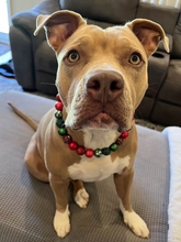 Load image into Gallery viewer, Mistletoe Glam Bead Collar