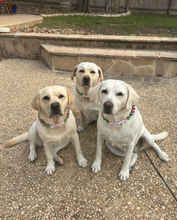 Load image into Gallery viewer, PERSONALIZED Christmas Tree Bead Collar