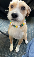 Load image into Gallery viewer, Green Bay Packers NFL Inspired 🏈 Bead Collar