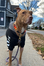 Load image into Gallery viewer, Diablo Bead Collar