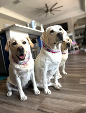 Load image into Gallery viewer, Moonbeam Acrylic Bead Collar