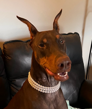 Load image into Gallery viewer, XS White Pearl Triplo Acrylic Bead Collar