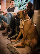 Load image into Gallery viewer, Gingerbread Mocha Glam Bead Collar