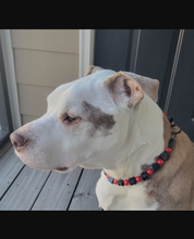 Load image into Gallery viewer, Heartbreaker Bead Collar