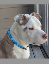 Load image into Gallery viewer, Blue Ombre Silicone Bead Collar