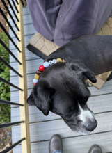 Load image into Gallery viewer, Kansas City Chiefs NFL Inspired 🏈 Bead Collar