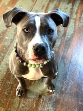 Load image into Gallery viewer, Melon Green Abstract Ceramic Bead Collar