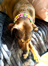 Load image into Gallery viewer, 🌸 Y2K Flowers Bead Collar [Small Dog/Cat Collar]