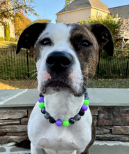 Load image into Gallery viewer, Midnight Cauldron Halloween Glow Bead Collar