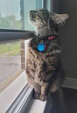 Load image into Gallery viewer, Red Clouds XS Acrylic [Small Dog/Cat Bead Collar]