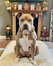 Load image into Gallery viewer, Autumn Leaves 🍂 Bead Collar