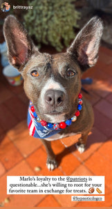 Sparkler 🎇 Bead Collar