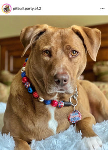 Sparkler 🎇 Bead Collar