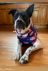 Sparkler 🎇 Bead Collar