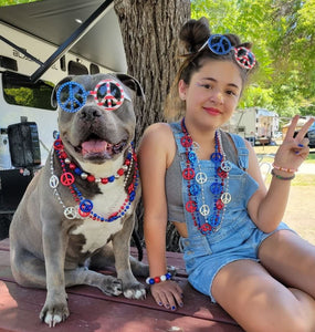 Sparkler 🎇 Bead Collar