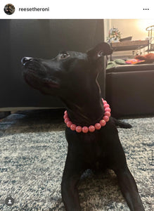 Watermelon Rain [Scuffed] Acrylic Bead Collar